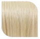 Champagne Blonde - #613Q