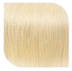 Golden Blonde - #613