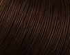 Cocoa Brown #2Q